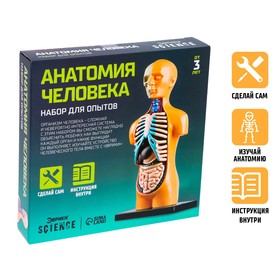 УЦЕНКА Научный опыт «Анатомия человека» 4363372
