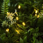 УЦЕНКА НИТЬ ECO. IP44, 12 м, Н.Т. LED-100-1.2V(SOLAR), 2 режима, ЖЕЛТЫЙ - Фото 1