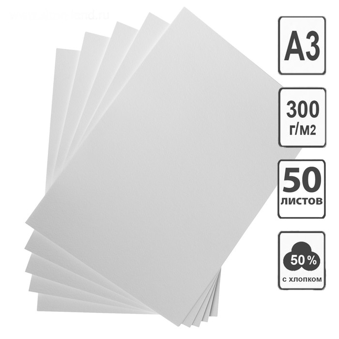Бумага для рисования А3, 50 листов, 50% хлопка, 300 г/м² - Фото 1