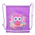 Мешок для обуви 405×360, светоотражающая полоса, Smart SB-01 Howlet - Фото 1