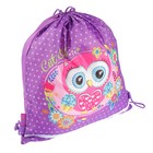 Мешок для обуви 405×360, светоотражающая полоса, Smart SB-01 Howlet - Фото 2