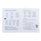 Тетрадь для записи английских слов, 24 листа «Лисёнок»,, обложка мелованный картон, глянцевая ламинация, ляссе - Фото 9