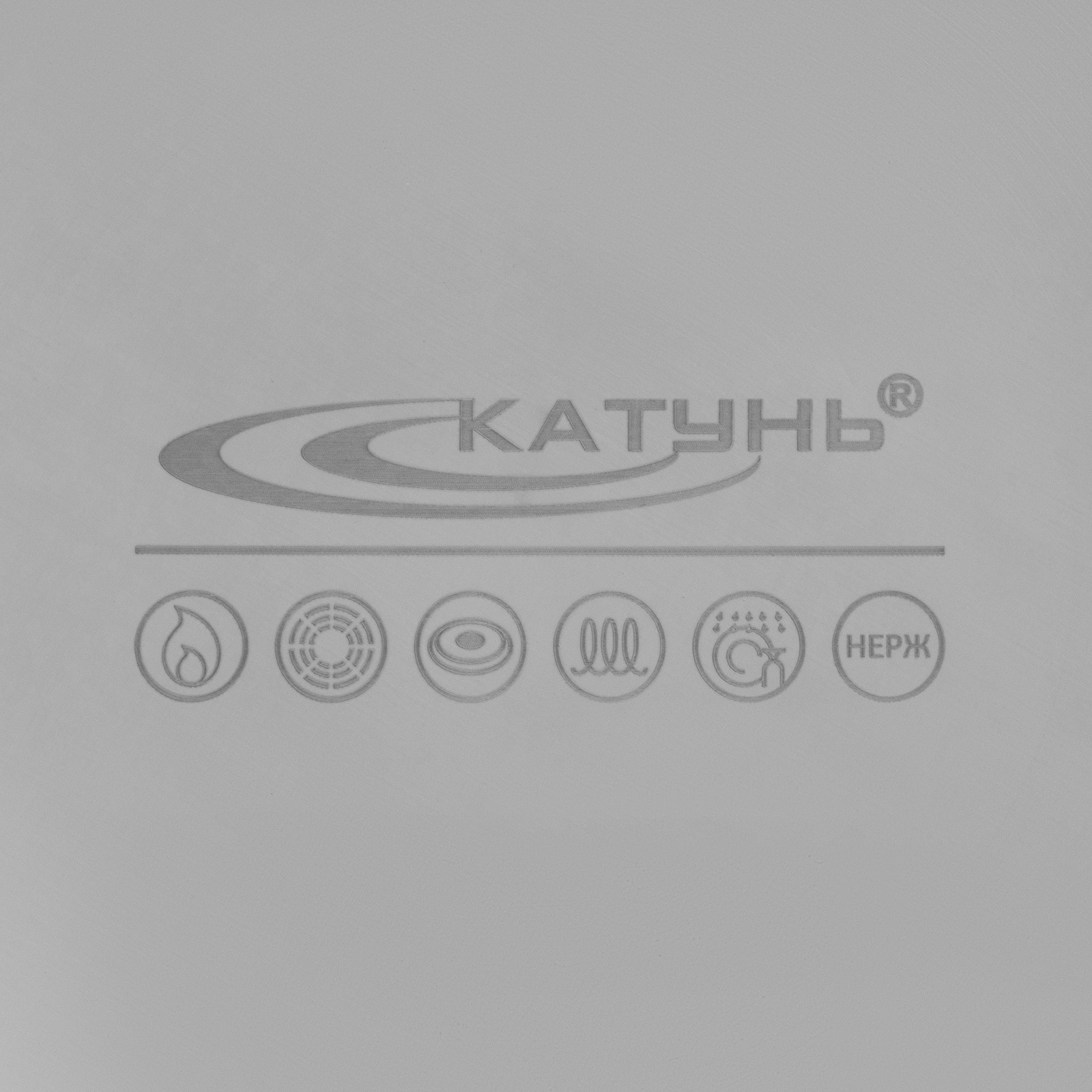Кастрюля Катунь «Общепит», 8 л, d=30 см, h=12 см, капсульное дно ...