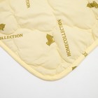 Набор "Овечья шерсть", одеяло размер 110х140 см + подушка 40х60 см, цвет МИКС - Фото 2