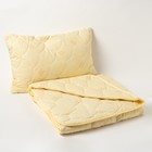 Набор "Овечья шерсть", одеяло размер 110х140 см + подушка 40х60 см, цвет МИКС - Фото 7