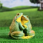 Садовая фигура "Две лягушки" 22х20см - Фото 2