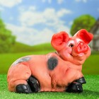 Садовая фигура "Свинья лежит на боку" 23см - Фото 1