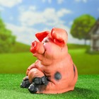 Садовая фигура "Свинья лежит на боку" 23см - Фото 2