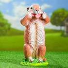 Садовая фигура "Веселый бурундук" 27 см - Фото 1