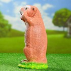 Садовая фигура "Веселый бурундук" 27 см - Фото 2