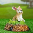 Садовая фигура "Заяц в норе" 19х19х16см - Фото 1