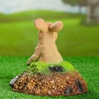 Садовая фигура "Заяц в норе" 19х19х16см - Фото 3