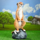 Садовая фигура "Большой сурикат на камне" 60см - Фото 1