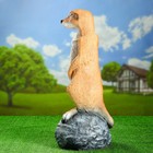 Садовая фигура "Большой сурикат на камне" 60см - Фото 2