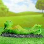 Садовая фигура "Пляжная лягушка" 30х15х12см - Фото 3