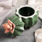 Банка керамическая для сыпучих продуктов «Кактус», 500 мл, цвет зелёный - Фото 2