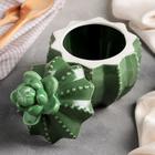 Банка керамическая для сыпучих продуктов «Кактус с цветком», 500 мл, 12,5×15,5 см, цвет зелёный - Фото 2