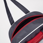 Сумка спортивная на молнии, без подкладки, наружный карман, средний размер, цвет серый/красный - фото 41540171