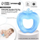 Прорезыватель охлаждающий с водой Крошка Я «Яблочко», голубой - Фото 1