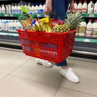 Корзина покупательская пластиковая, 30 л, 2 металлические ручки, цвет красный - фото 24331223