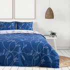 Постельное бельё Экономь и Я 1,5 сп. «Клео» 150×210 см, 150×210 см, 50×70 ± 3 см - 2 шт., микрофайбер 4376276