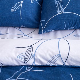 Постельное бельё Экономь и Я 1,5 сп. «Клео» 150×210 см, 150×210 см, 50×70 ± 3 см - 2 шт., микрофайбер