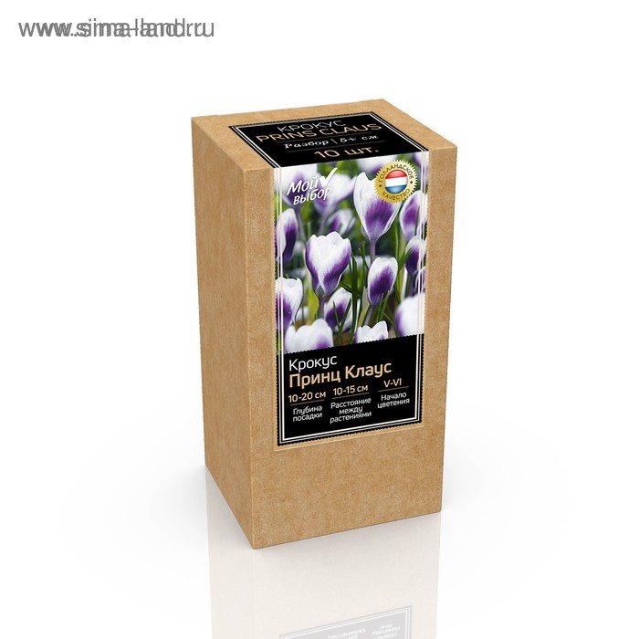 Крафт-коробка Крокус chrysanthus Prins Claus, р-р 5/+, 10 шт - Фото 1