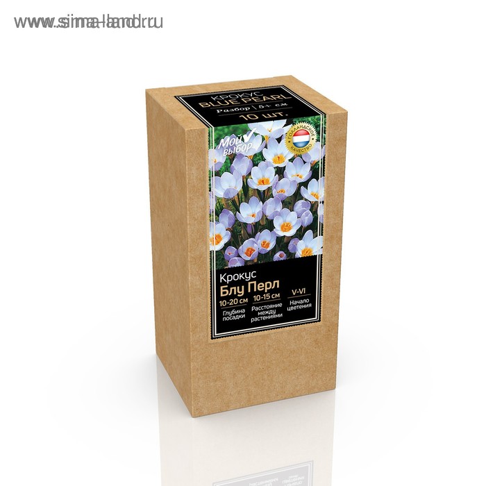 Крафт-коробка Крокус chrysanthus Blue Pearl, р-р 5/+, 10 шт - Фото 1