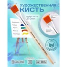 Кисть для рисования, Синтетика Плоская №20 (ширина обоймы 20 мм; длина волоса 20 мм), деревянная ручка, Calligrata - Фото 1