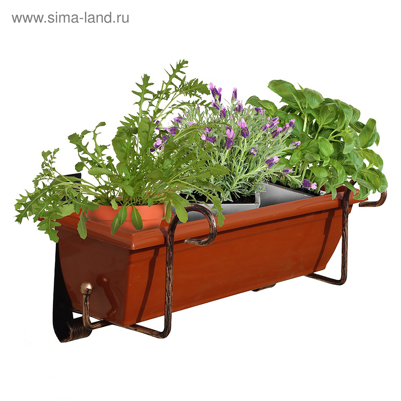 Балконный цветочник 1200х100. Ящики для цветов на балкон. Растения для балконных ящиков. Горшок балконный. Растения для балконных ящиков.