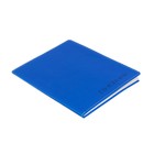 Премиум-дневник универсальный, для 1-11 класса Vivella, обложка искусственная кожа, светло-синий - Фото 2