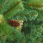 Искусственная ёлка «ЕлкиТорг. Байкальская» с шишками, 240 см, d нижнего яруса 160 см, 2000 смешанные ветки - Фото 2