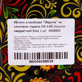 

Яблоня штамбовая "Марина" на клоновом подвое (54-118) (горшок квадратный 9см) 1 шт