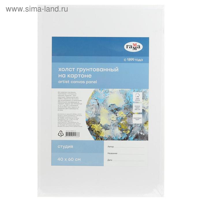 Холст на картоне «Гамма. Студия», хлопок 100%, 40×60 см, акриловый грунт, мелкозернистый - Фото 1