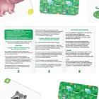 Настольная игра «Мемо для малышей. Животные», 50 карт, 3+ - Фото 4