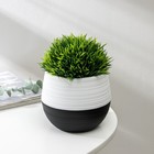 Горшок для цветов с поддоном СибПолимер «Дуэт», 500 мл, пластиковый, чёрно-белый - Фото 1