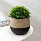 Горшок для цветов с поддоном СибПолимер «Дуэт», 500 мл, пластиковый, шоколадный-кофе с молоком - Фото 1