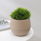 Горшок для цветов с поддоном СибПолимер «Дуэт», 500 мл, пластиковый, кофе с молоком - Фото 1