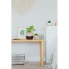 Горшок для цветов с поддоном СибПолимер «Дуэт», 500 мл, пластиковый, кофе с молоком - Фото 6