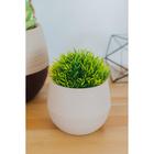 Горшок для цветов с поддоном СибПолимер «Дуэт», 500 мл, пластиковый, кофе с молоком - Фото 7