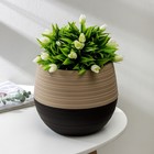 Горшок для цветов с поддоном «СибПолимер. Дуэт», 2.5 л, пластиковый, цвет шоколадный / кофе с молоком - Фото 1