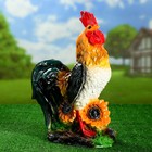 Садовая фигура "Петух малый с подсолнухом" МИКС - Фото 1