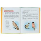 Я играю и расту. Развивающие игры и задания для детей 4-5 лет. Акопова Э. С. - фото 118957033 Я играю и расту. Развивающие игры и задания для детей 4-5 лет. Акопова Э. С. - фото 118957033