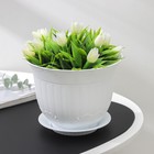 Горшок для цветов с поддоном СибПолимер «Ангара», 1.5 л, пластик, белый - Фото 1