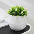 Горшок для цветов с поддоном «СибПолимер. Дуэт», 1.5 л, пластиковый, белый - Фото 1