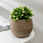 Горшок для цветов с поддоном СибПолимер «Дуэт», 2.5 л, пластиковый, кофе с молоком - Фото 1