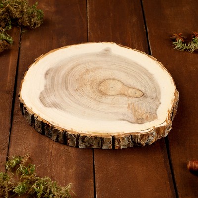 Спил вяза, шлифованный с одной стороны, диаметр 18-20 см