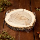 Спил вяза, шлифованный с одной стороны, диаметр 18-20 см - Фото 3