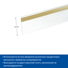 Ценникодержатель полочный самоклеящийся, DBR39, 100 мм, цвет прозрачный - фото 28728825