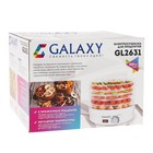 Сушилка для овощей и фруктов Galaxy GL 2631, 350 Вт, 5 ярусов, 17 л, d=30 см, белая - фото 4275345